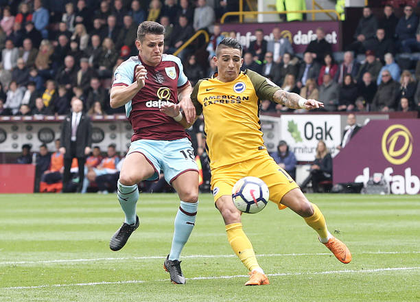 通过引进 通过引进