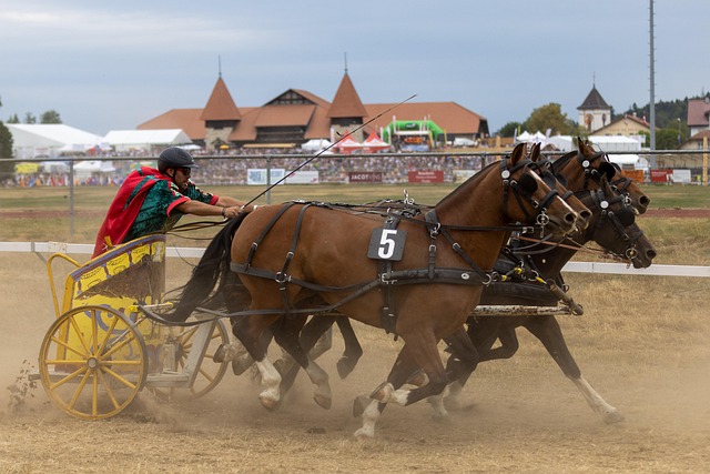 不仅如此 不仅如此