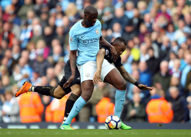 经成为培育 经成为培育